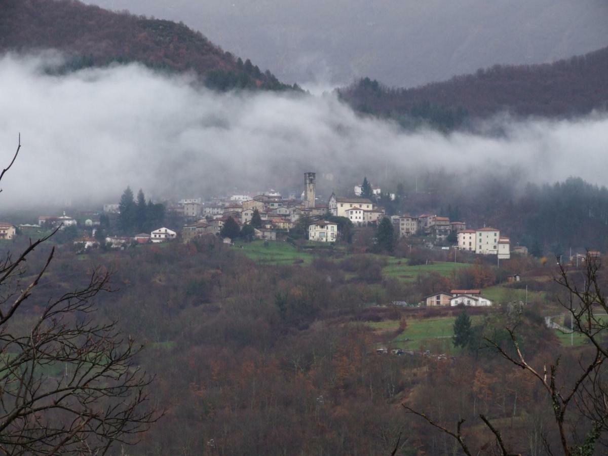 Bertagni Castelnuovo di Garfagnana